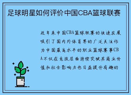 足球明星如何评价中国CBA篮球联赛